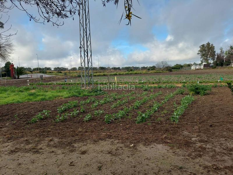 Foto 2a471f68-55a2-4d28-b0cf-533c9103c4f2. Finca rústica finca rustica en venta en Pozoalbero Jerez de la Frontera