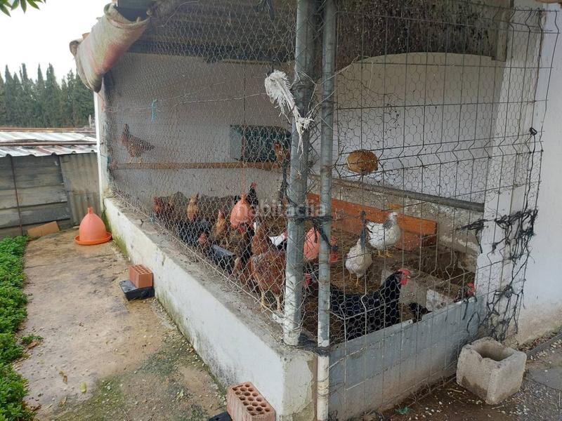 Foto 6db84911-f156-434b-91a9-1f36b3de6be6. Finca rústica finca rustica en venta en Pozoalbero Jerez de la Frontera