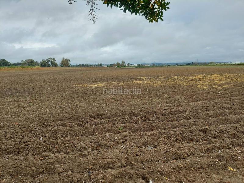 Foto a3b50106-6385-44e8-96a5-8bf6aa060382. Finca rústica finca rustica en venta en Pozoalbero Jerez de la Frontera