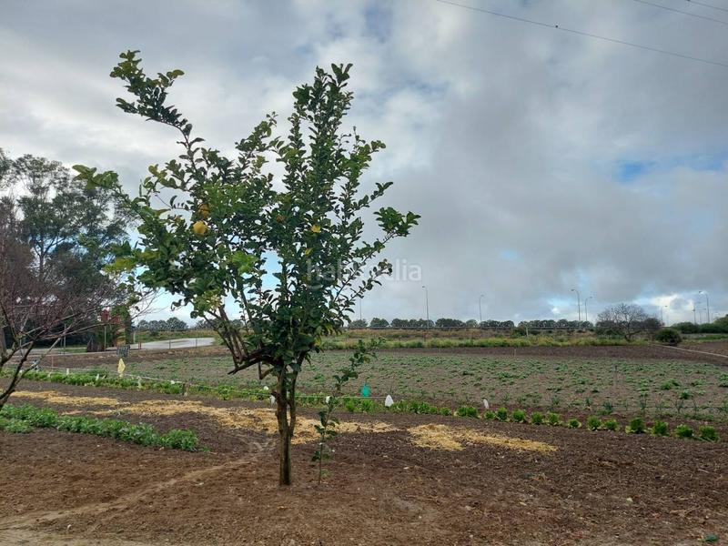 Foto c7e9b3f3-c612-4b82-be63-b458db039156. Finca rústica finca rustica en venta en Pozoalbero Jerez de la Frontera