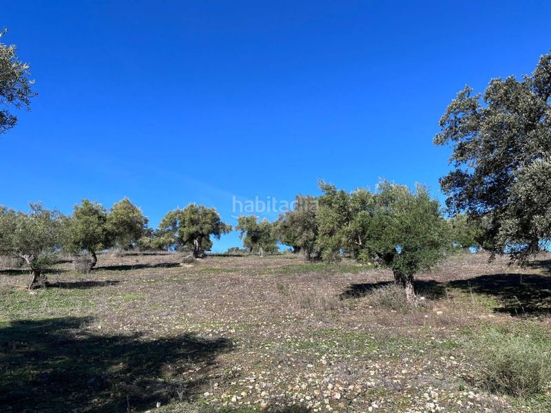 Foto 35793534-0842-4a98-abf7-6cab0f9875d4. Finca rústica a Bosque (El)