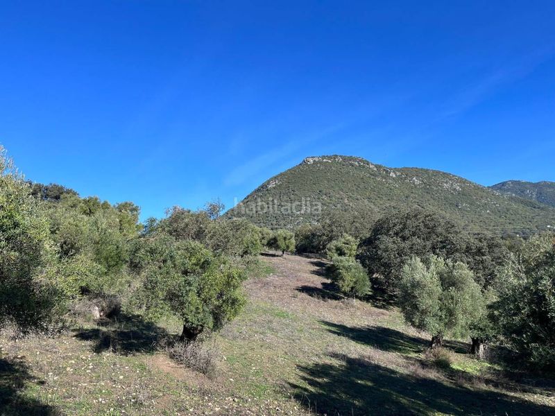 Foto 7af5c0a9-a62c-4b5a-aefe-388f65ae58ac. Finca rústica a Bosque (El)