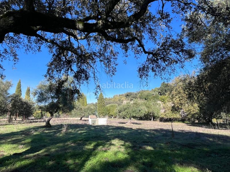 Foto aa33ff92-5309-4d02-8080-45985e475d34. Finca rústica a Bosque (El)