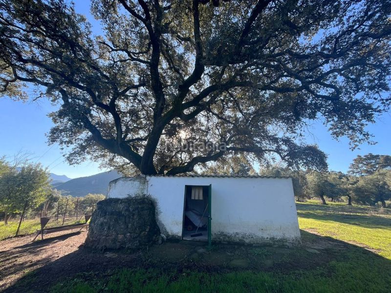 Foto f30d141a-a4f2-4eb8-bea0-cb3576f0bf04. Finca rústica a Bosque (El)