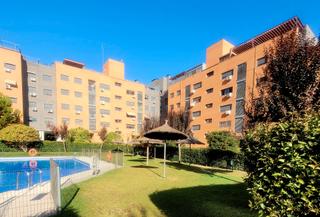 Lloguer Pis a Calle ana frank 71. Amplia y luminosa vivienda en alquiler, 3 habitaciones calle ana