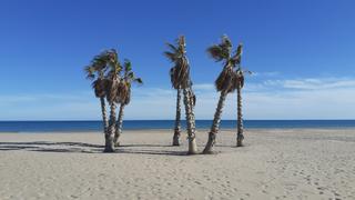 Terreny residencial a Centro puerto. Solar residencial puerto de sagunto ( valencia  )