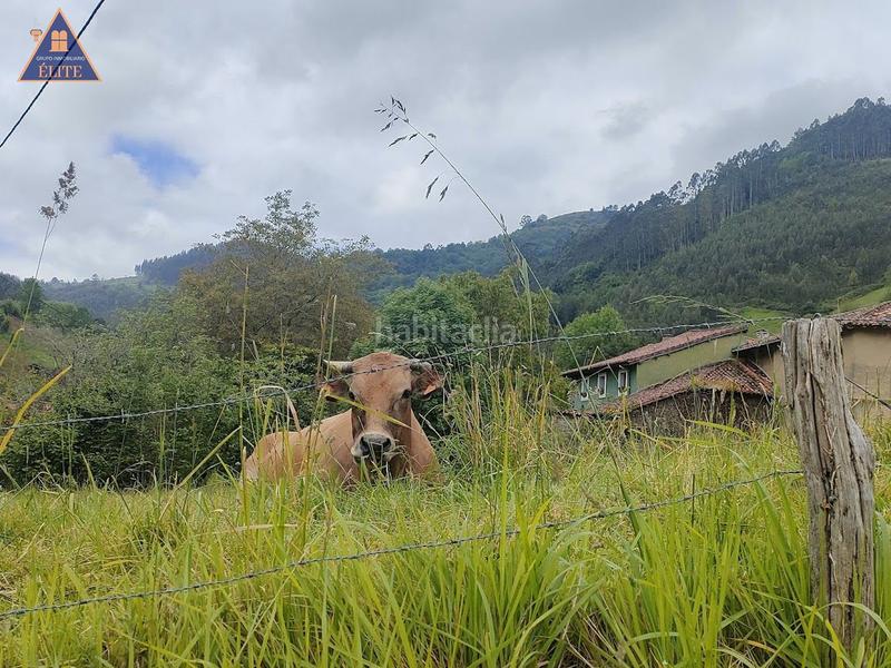 Foto ad15ae5b-9ec9-4286-b896-e24192e6f16f. Terreny residencial a manzaneu-candanal -Villaviciosa a Villaviciosa