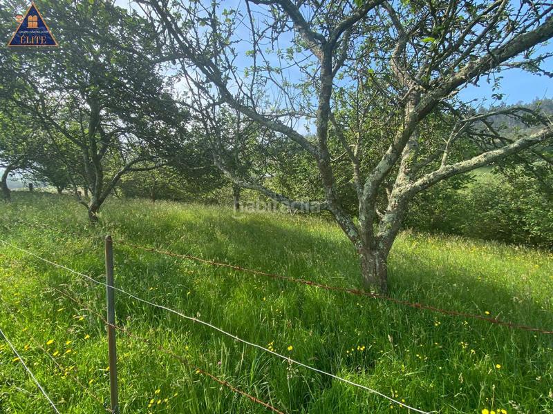 Foto 5b3f91f8-240b-4f94-bb7a-7dda1234c875. Casale in Quintes - Arroes Villaviciosa