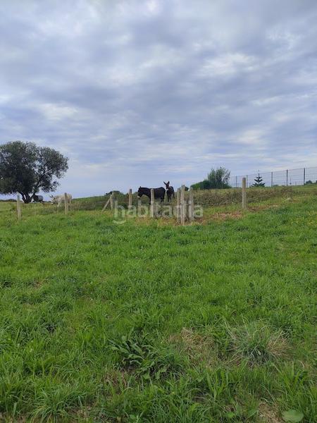 Foto 9b3d4bc1-81c0-484f-95f4-9e0427b3c8a8. Masia a Quintes - Arroes Villaviciosa