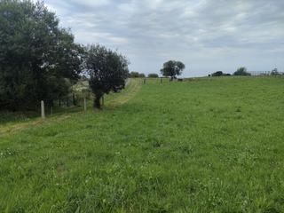Mas à Quintes - Arroes. Finca rúst. en venta en careñes.