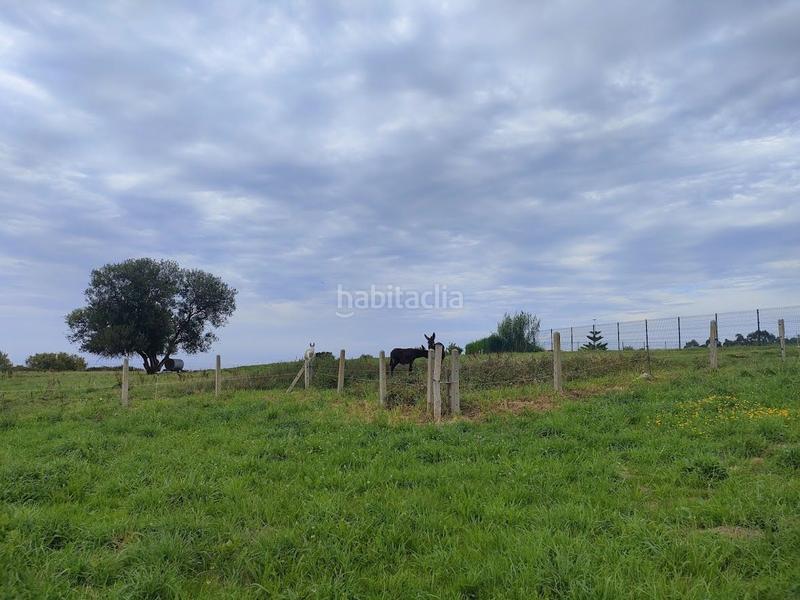 Foto e1cba338-59d7-44ad-b751-3376403da45e. Masia a Quintes - Arroes Villaviciosa