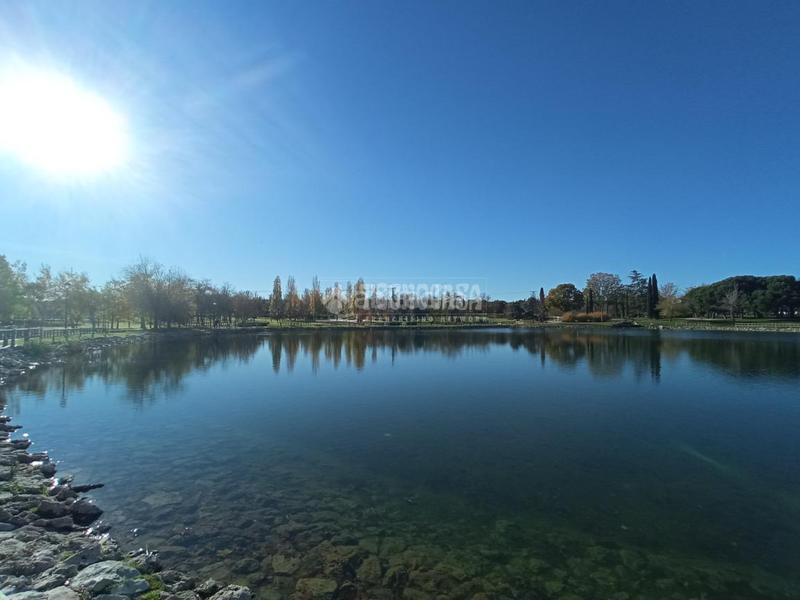 Foto 91062975-08ef-4823-a1d3-b84df8b40173. Pis a Buena Vista Madrid