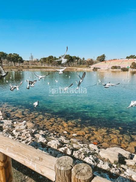 Foto d5d0795c-7ccb-49a1-8e0f-ae50d1851264. Flat in Buena Vista Madrid