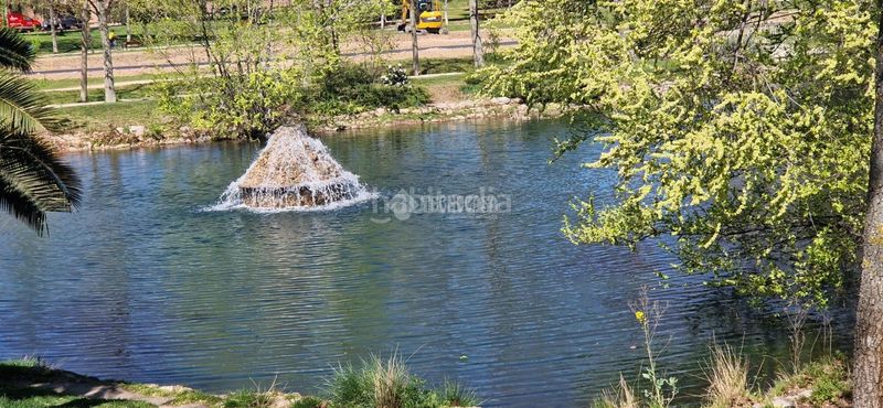 Foto d18eeaee-116f-40f9-beaa-446fa2089bc4. Pis a Buena Vista Madrid