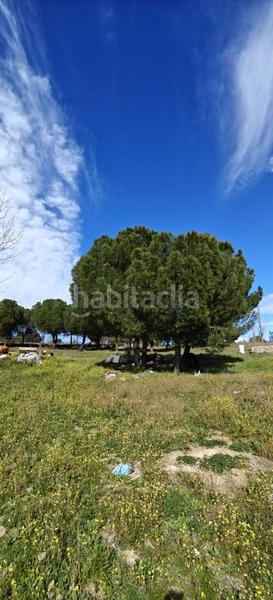 Foto c150ad81-d1ae-4326-97e6-acfd7aa65ab3. Area edificabile industriale in El Soto Móstoles