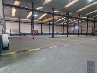Industrial building in Monte Boyal