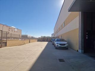 Industrial building in Monte Boyal