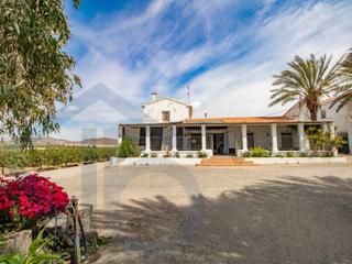 Mas  N/a. La campana  finca rustica