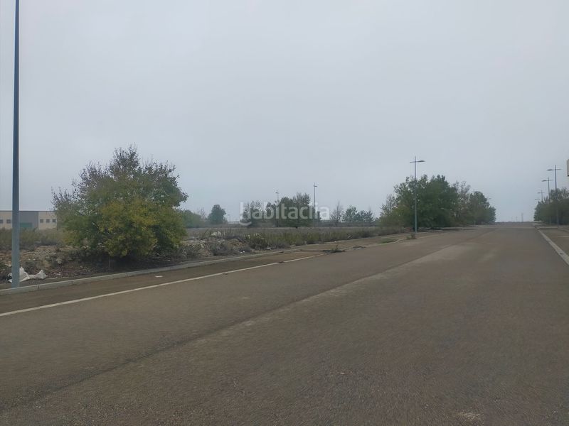 Foto 3d722412-47cf-42bb-9257-83f18e60cbdb. Finca rústica en Muela (La)