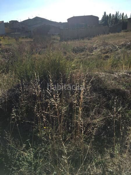 Foto bd4adbe9-dbe9-4841-a496-13a31d081948. Finca rústica a camino san francisco 40 a Sádaba