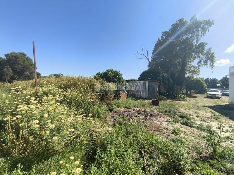 Foto 167c920d-c26b-4416-9705-834f5a153892. Mas avec parking dans Barbate Barbate