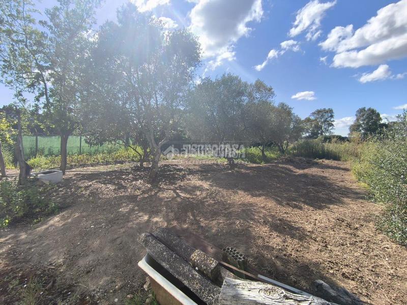 Foto 2e530b69-c256-4be0-ae7e-69ca1f6eab07. Mas avec parking dans Barbate Barbate