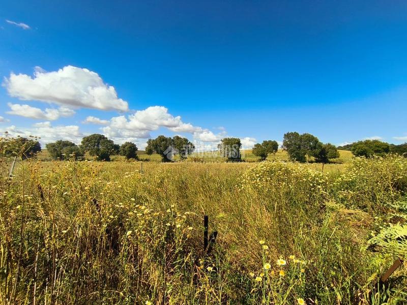 Foto 85bf9a72-c15a-497c-af9b-dd1d69897925. Mas avec parking dans Barbate Barbate