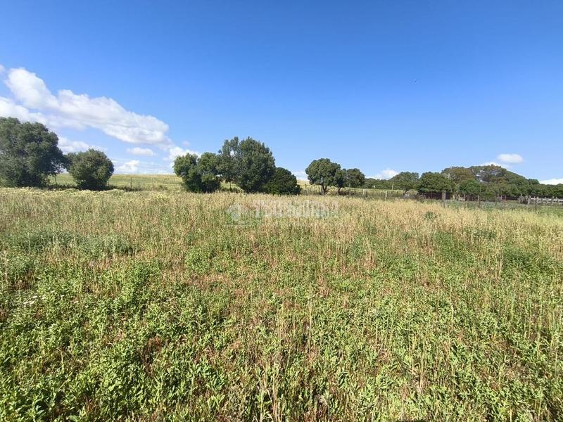 Foto 959aefee-93b3-4018-94ca-d219e036825a. Mas avec parking dans Barbate Barbate