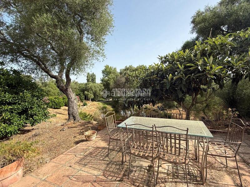 Foto 1b372fa5-713a-47a7-9bc2-55905f3e01f8. Finca rústica terrenos en venta en medinasidonia en Medina - Sidonia