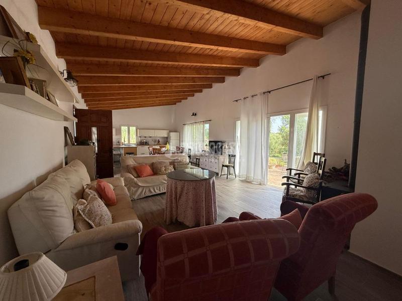 Foto 1efd16d4-3001-4e42-8803-71d1e3472cf6. Finca rústica terrenos en venta en medinasidonia en Medina - Sidonia