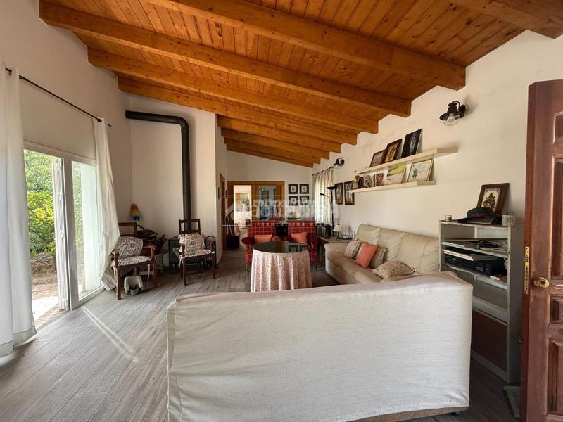 Foto 2920abbe-3bce-45ec-9a75-d6d8573d5685. Finca rústica terrenos en venta en medinasidonia en Medina - Sidonia