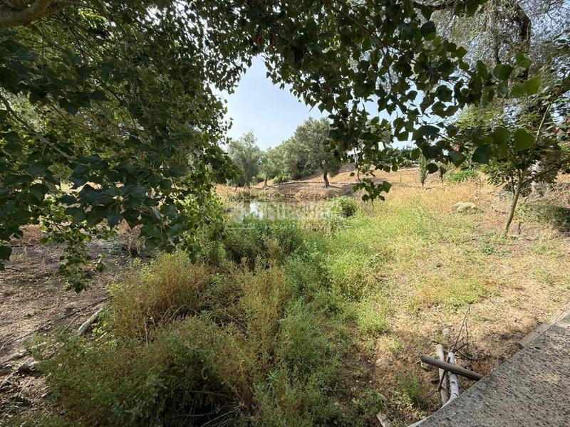 Foto 7297e014-a2ba-41b5-80ca-6a74fe9a451b. Finca rústica terrenos en venta en medinasidonia en Medina - Sidonia