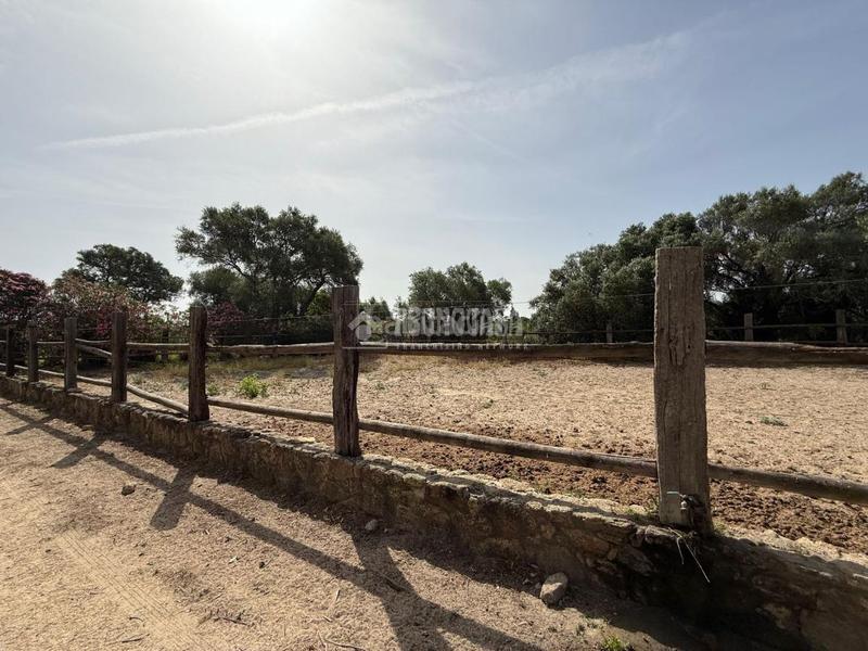 Foto 836a63e4-0ac7-4372-8246-d6c67dfb28ba. Finca rústica terrenos en venta en medinasidonia en Medina - Sidonia