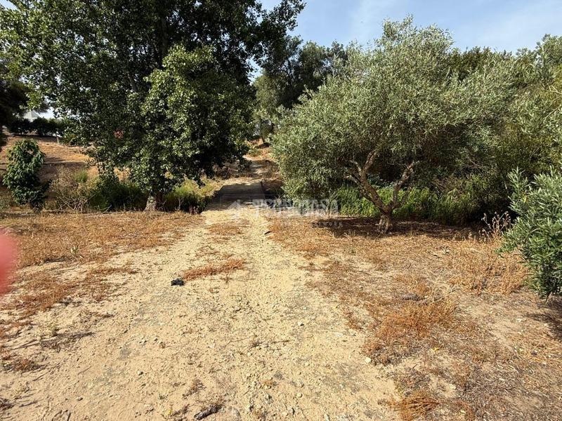 Foto 946f3993-999e-4502-9eb6-4e4aacf12c51. Finca rústica terrenos en venta en medinasidonia en Medina - Sidonia