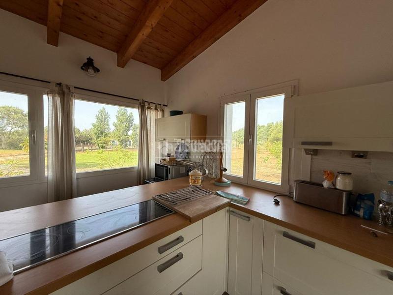 Foto 9535ee69-8d86-4cbf-a105-e2981e22fa20. Finca rústica terrenos en venta en medinasidonia en Medina - Sidonia