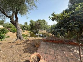 Finca rústica en Medina - Sidonia. Terrenos en venta en medinasidonia