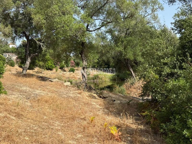 Foto 9d023ae0-4cd7-4a53-8a66-d04e44874799. Finca rústica terrenos en venta en medinasidonia en Medina - Sidonia