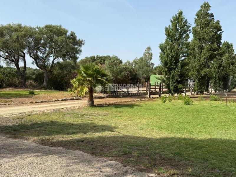 Foto a7d94b77-ad62-4948-8fe4-b76926b2db31. Finca rústica terrenos en venta en medinasidonia en Medina - Sidonia