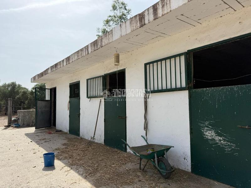 Foto ce23f493-4129-48aa-b8ef-4ba731015bbe. Finca rústica terrenos en venta en medinasidonia en Medina - Sidonia