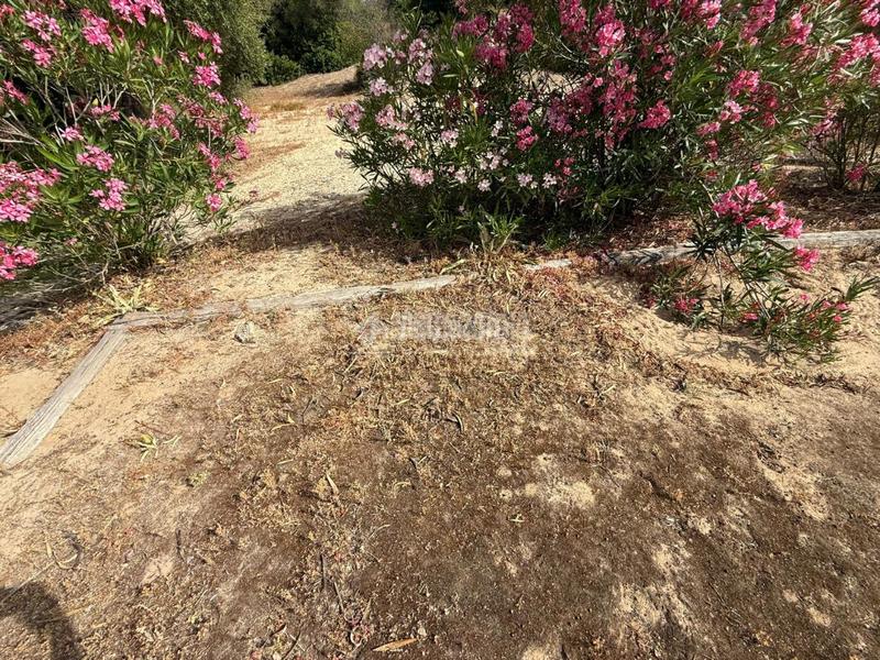 Foto f31de9b7-3094-40b6-b93a-bc9f3b4a1d7d. Finca rústica terrenos en venta en medinasidonia en Medina - Sidonia