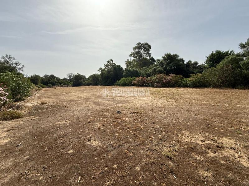 Foto f6cf8d10-0818-4d18-bbc3-59d8dd37d45a. Finca rústica terrenos en venta en medinasidonia en Medina - Sidonia