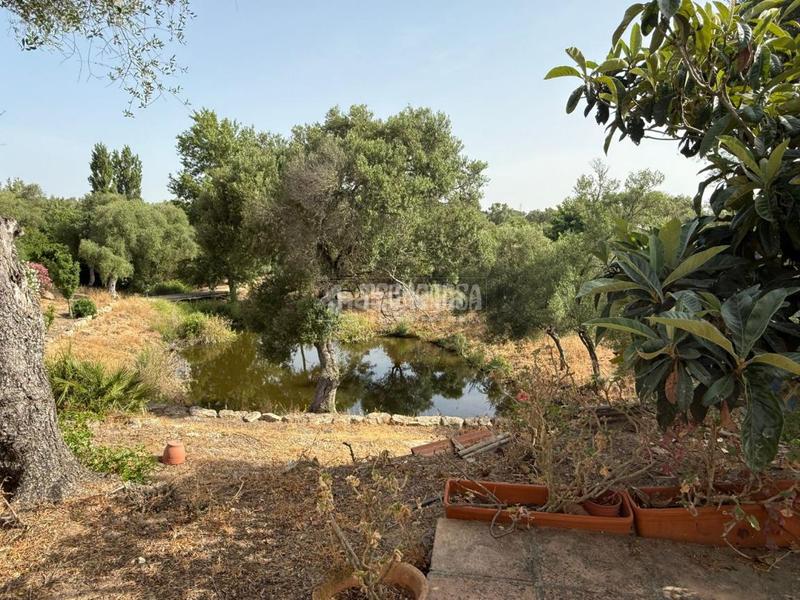 Foto fcdbdf83-2fff-4851-bcca-440bf9f47ac6. Finca rústica terrenos en venta en medinasidonia en Medina - Sidonia