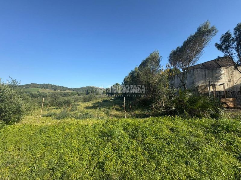 Foto 036a3c7b-feec-4c16-a629-3db62cefeb4e. Finca rústica terrenos en venta en Barbate Barbate