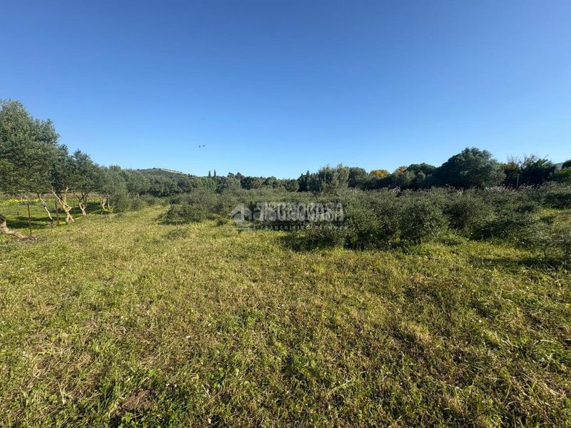 Foto 1bce96f4-3aa7-4491-95fe-4f74e77f3d7c. Finca rústica terrenos en venta en Barbate Barbate