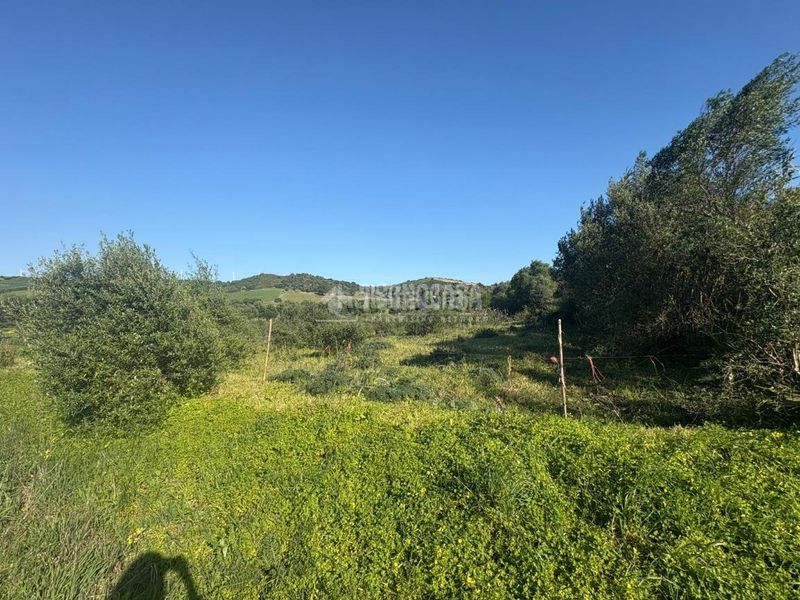 Foto 39bab9c9-36c0-4962-986c-50a61fb4b291. Finca rústica terrenos en venta en Barbate Barbate