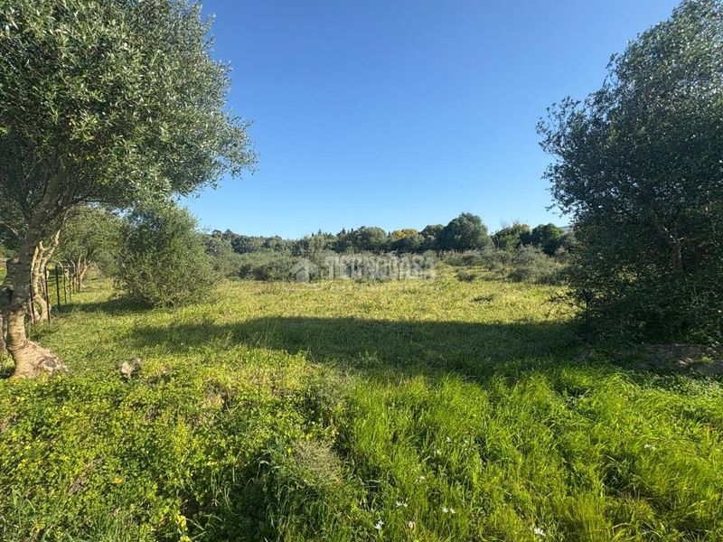 Foto 3a5cde52-c3fb-499c-9dc3-80cd28d4d5e0. Finca rústica terrenos en venta en Barbate Barbate
