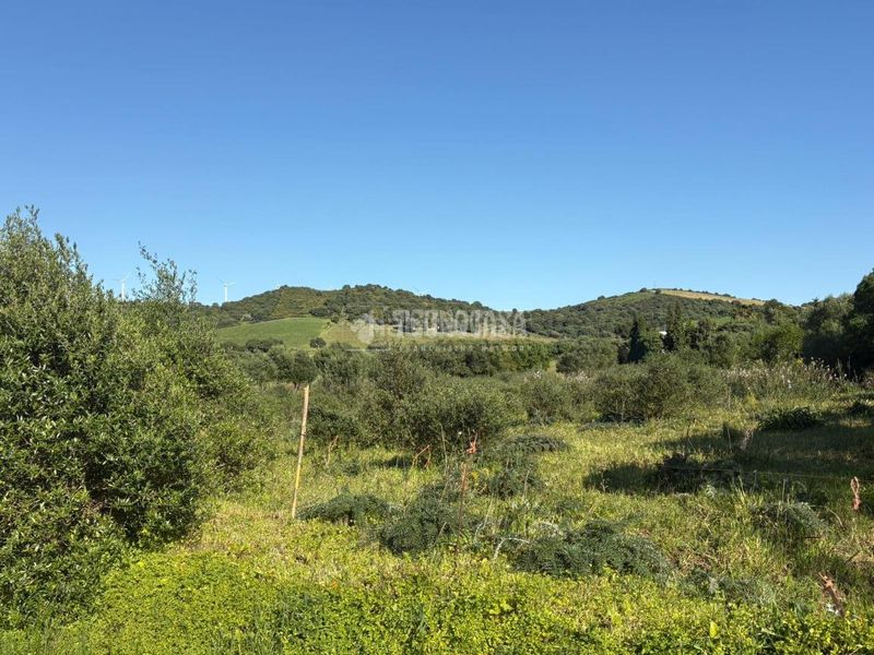 Foto 632144b5-7876-4757-b76e-e25faa3deaba. Finca rústica terrenos en venta en Barbate Barbate