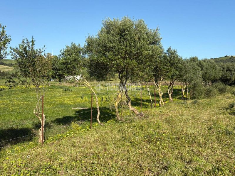 Foto 6b2c9b25-2549-4e8d-8314-4b61d82cc21c. Finca rústica terrenos en venta en Barbate Barbate