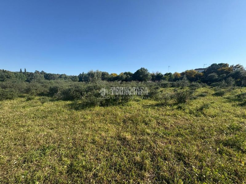 Foto dedef7a9-ac8e-4cbb-b830-ebc1a5607829. Finca rústica terrenos en venta en Barbate Barbate
