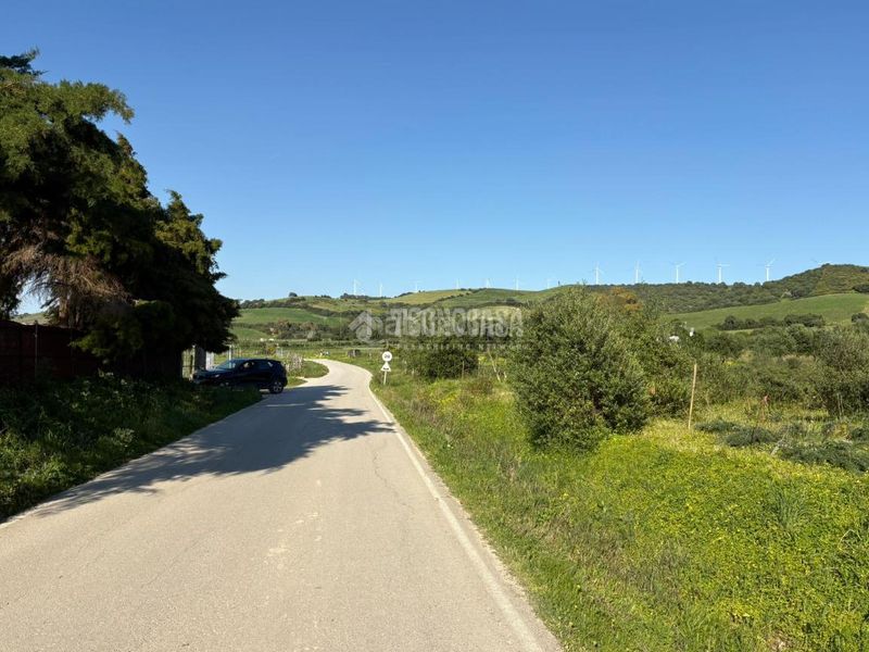 Foto e0f90daa-c950-4e21-bea4-2e38f332e740. Finca rústica terrenos en venta en Barbate Barbate